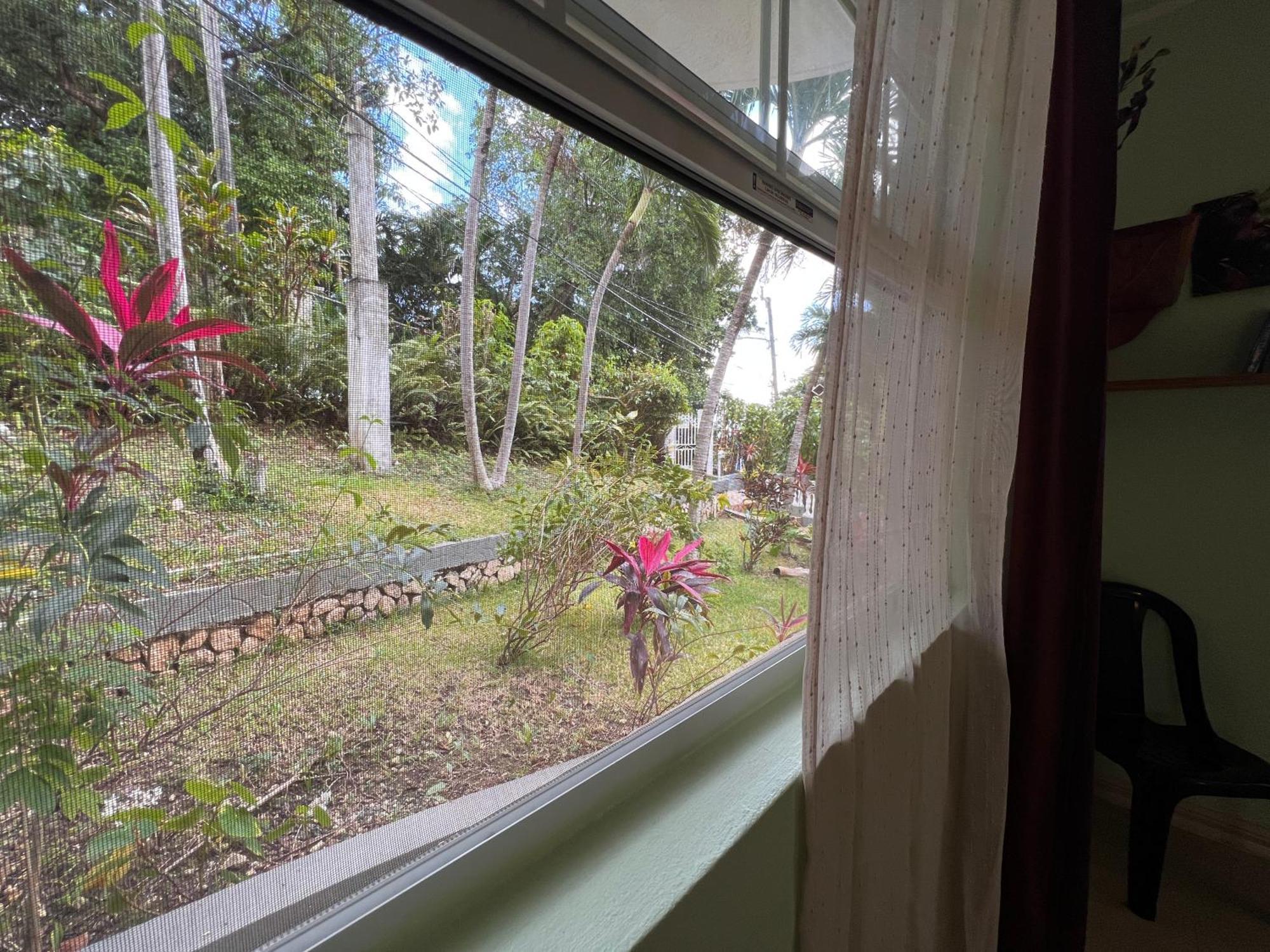 All Nations Guest House Port Antonio Room photo